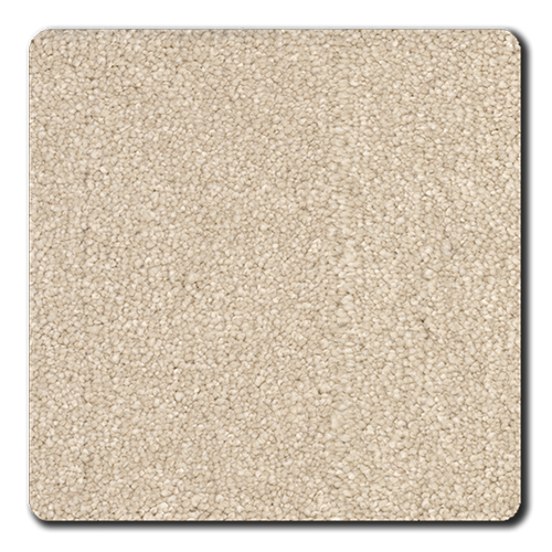 Revolution Mills Magic Moment Coastal Carpet - Huntsville ...