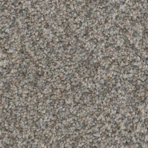 Shop for carpet in Mesa, AZ from Taylors Flooring