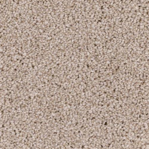 Room Scene of Shoreline - Carpet by Phenix Flooring