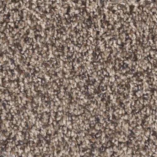 Stoneybrook II in Branch - Carpet by Phenix Flooring