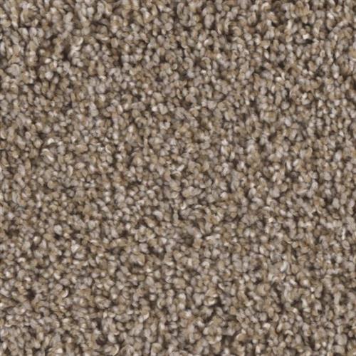 Stoneybrook II in Channel - Carpet by Phenix Flooring