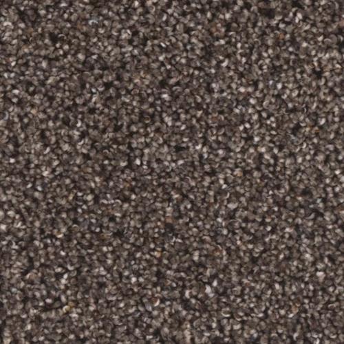 Stoneybrook II in Spout - Carpet by Phenix Flooring