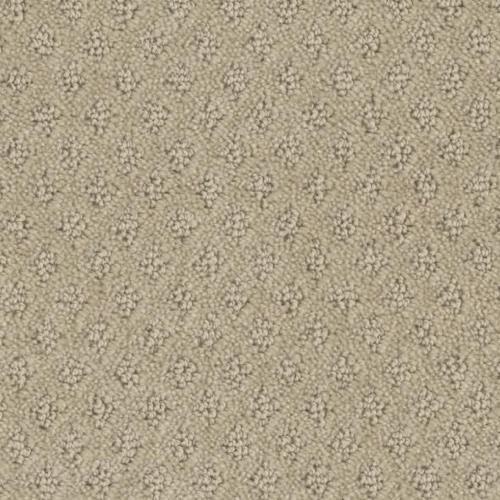 Microban® Polyester - Memento by Phenix Carpet - Token