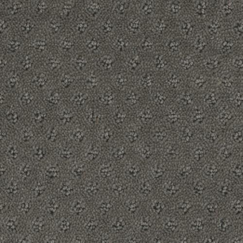 Microban® Polyester - Memento by Phenix Carpet - Keepsake