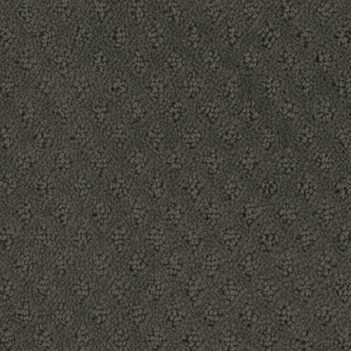 Microban® Polyester - Memento by Phenix Carpet - Shadow