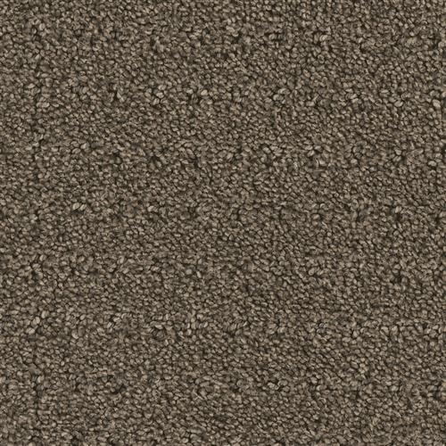 Phenix Assurance Impression Carpet Glassboro Nj Quality