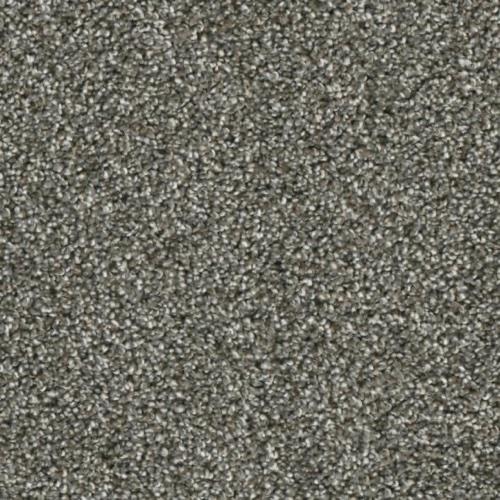 Microban® Polyester - Tabernacle by Phenix Carpet - Zeal
