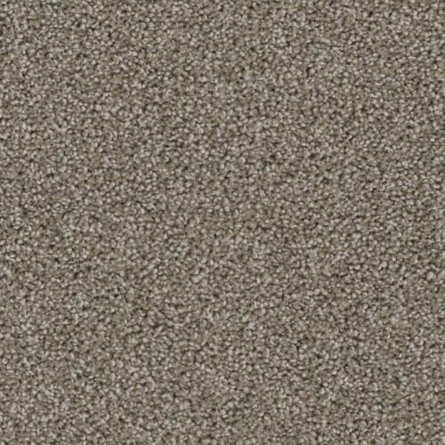 Phenix Brave Warm And Fuzzy Carpet Greenwood In Carpet Country
