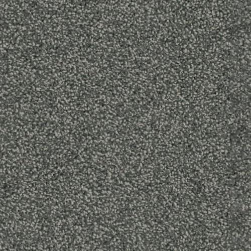 Brave in Endorsement - Carpet by Phenix Flooring