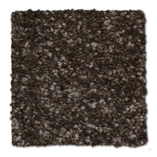 Microban® Polyester - Cachet by Phenix Carpet - Thunderous