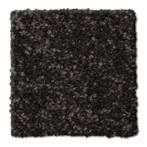 Microban® Polyester - Cachet by Phenix Carpet - Swiss Coffee