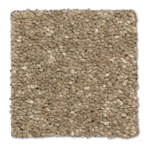 Microban® Polyester - Cachet by Phenix Carpet - Polished