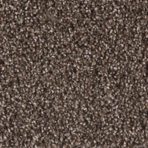 Microban® Polyester - Creekside II by Phenix Carpet - Millpond