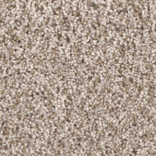Microban® Polyester - Creekside II by Phenix Carpet - Whitewater
