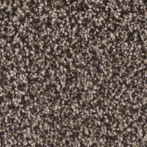 Microban® Polyester - Creekside II by Phenix Carpet - Rapids
