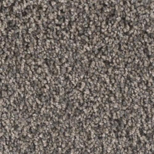 Microban® Polyester - Creekside II by Phenix Carpet - Overflow