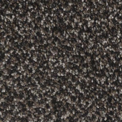 Microban® Polyester - Creekside II by Phenix Carpet - Gorge