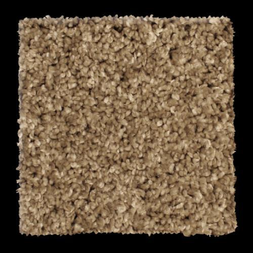 Microban® Polyester - Paradigm by Phenix Carpet - Plantation