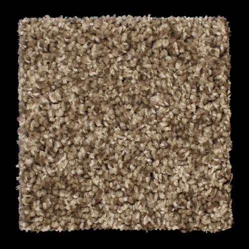 Microban® Polyester - Paradigm by Phenix Carpet - Roasted Garlic