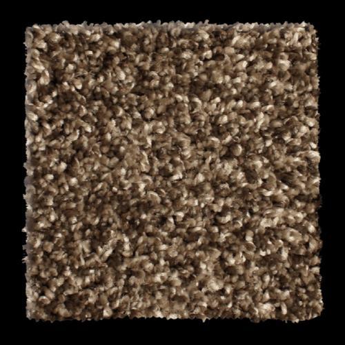 Microban® Polyester - Paradigm by Phenix Carpet - Walnut Grove