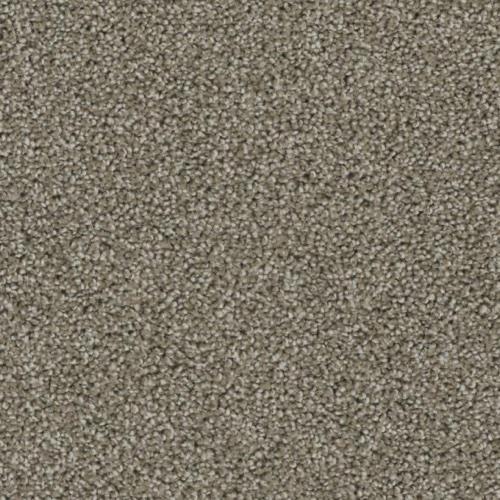 Ovation in Warm And Fuzzy - Carpet by Phenix Flooring