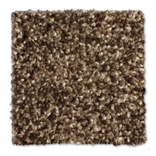 Microban® Polyester - Paragon by Phenix Carpet - Walnut Grove