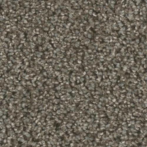 Microban® Polyester - Bodega Bay by Phenix Carpet - Back Road