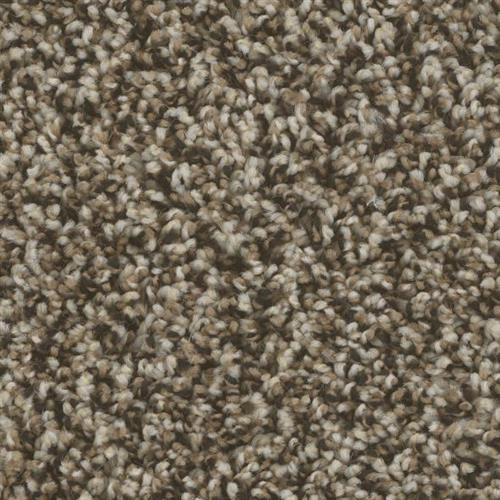 Microban® Polyester - Bodega Bay by Phenix Carpet - Jetty