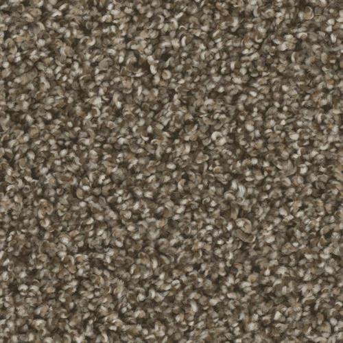 Microban® Polyester - Bodega Bay by Phenix Carpet