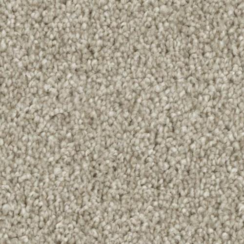 Microban® Polyester - Entice by Phenix Carpet