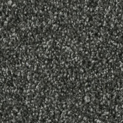 Microban® Polyester - Entice by Phenix Carpet - Charm
