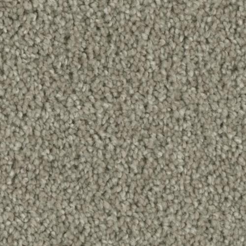 Microban® Polyester - Entice by Phenix Carpet - Decoy