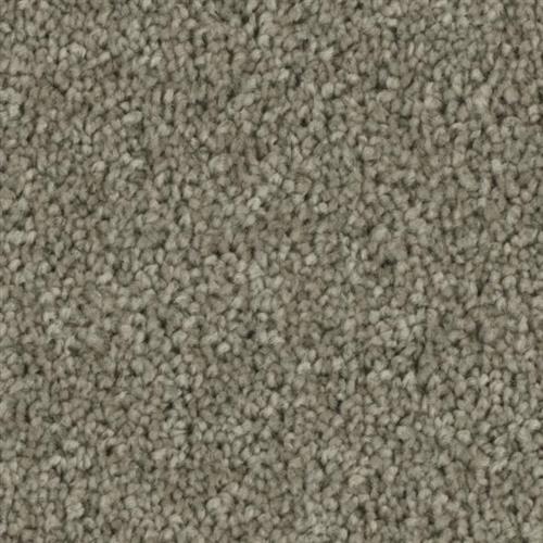 Microban® Polyester - Entice by Phenix Carpet - Overwhelm