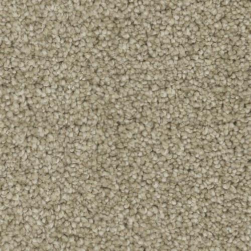 Microban® Polyester - Blessed by Phenix Carpet - On Cloud Nine