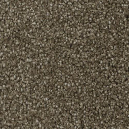 Microban® Polyester - Blessed by Phenix Carpet - Favorable