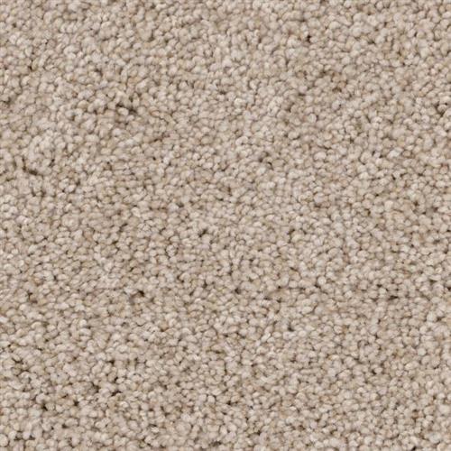 Room Scene of Coastal - Carpet by Phenix Flooring