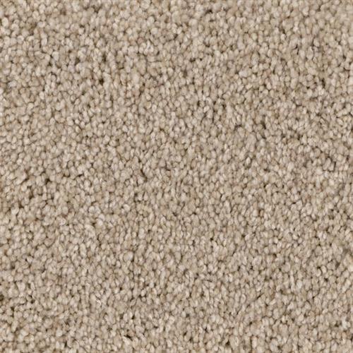 Sand Dune