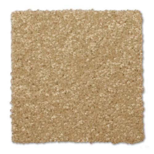 Phenix City Park Field Trip Carpet - Riverside, California ...