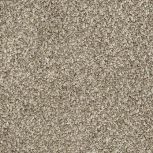 Insight in Vibes - Carpet by Phenix Flooring
