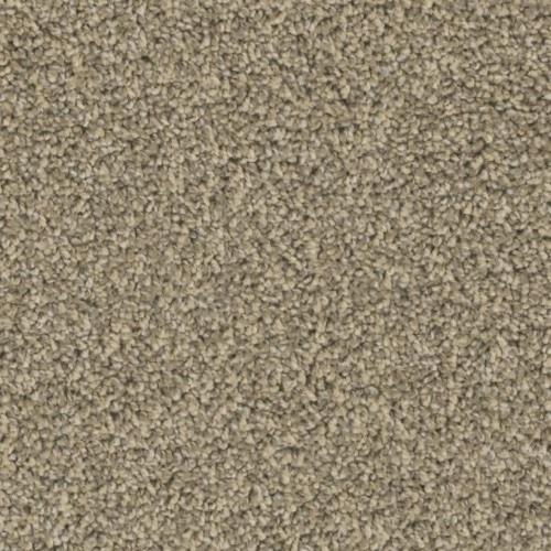Insight in Omen - Carpet by Phenix Flooring