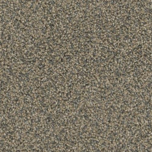 Insight in Vision - Carpet by Phenix Flooring