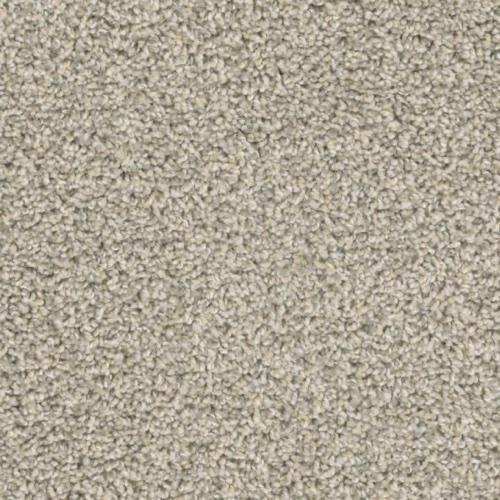 Insight in Know How - Carpet by Phenix Flooring