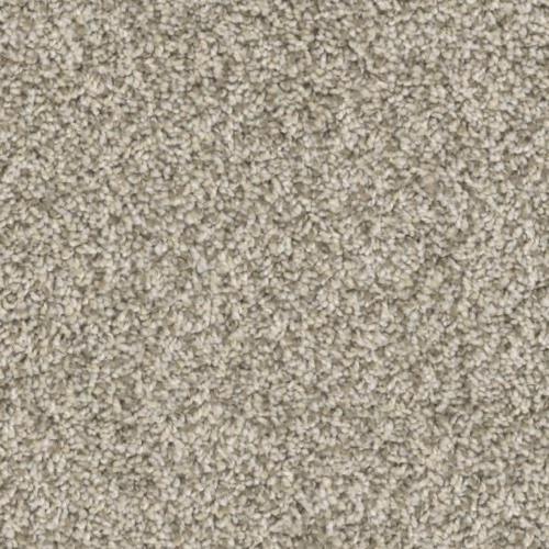 Insight in Instinct - Carpet by Phenix Flooring