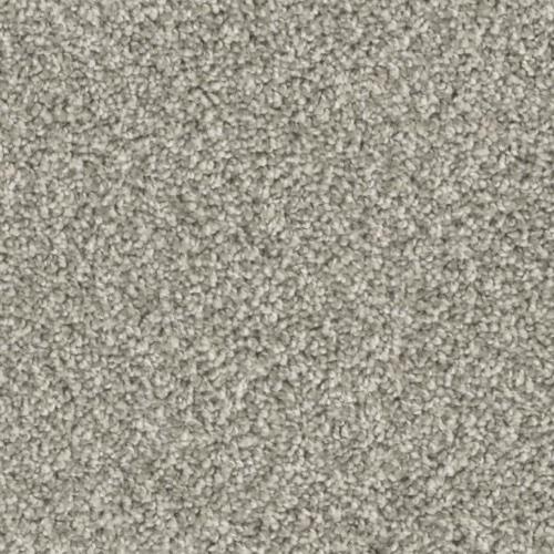 Insight in Foresight - Carpet by Phenix Flooring