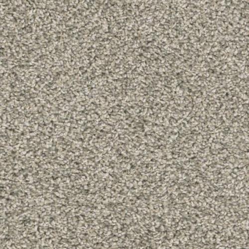 Insight in View Point - Carpet by Phenix Flooring