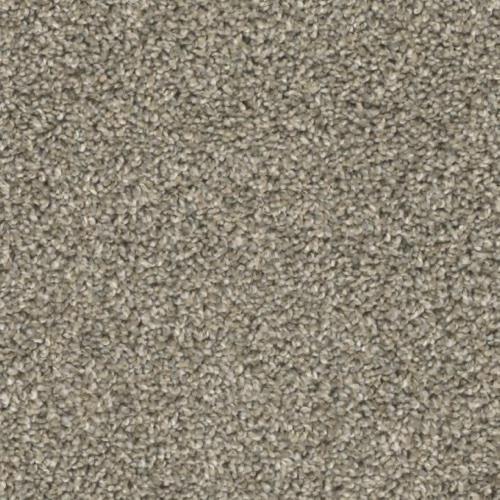 Insight in Preview - Carpet by Phenix Flooring
