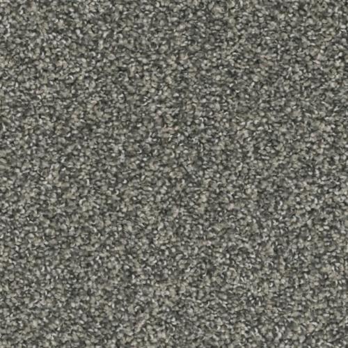 Insight in The Force - Carpet by Phenix Flooring