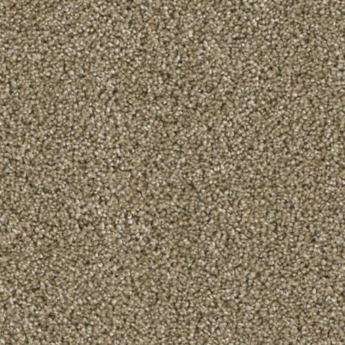 Microban® Polyester - Lincoln Hall by Phenix Carpet - Friendship