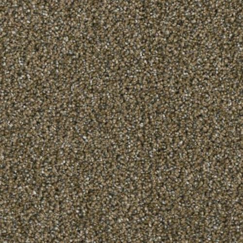 Microban® Polyester - Lincoln Hall by Phenix Carpet - Sincerity