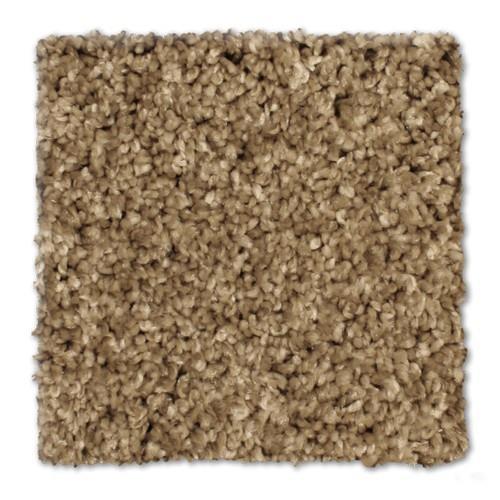 Microban® Polyester - Paradox by Phenix Carpet - Plantation